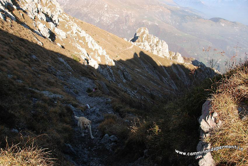 09 13486 Sentiero 502 - verso il Col dei Brassamonti.jpg